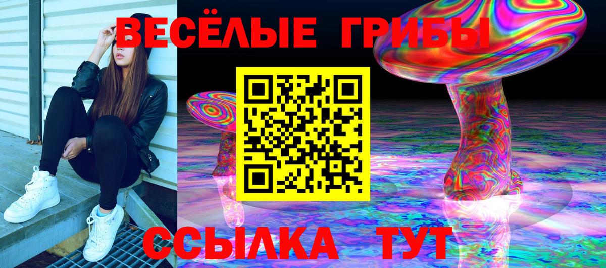Галлюциногенные грибы Psilocybine cubensis Ахтубинск
